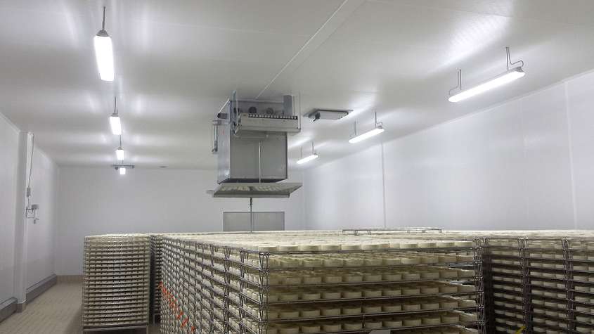 ESJET in Käseproduktion