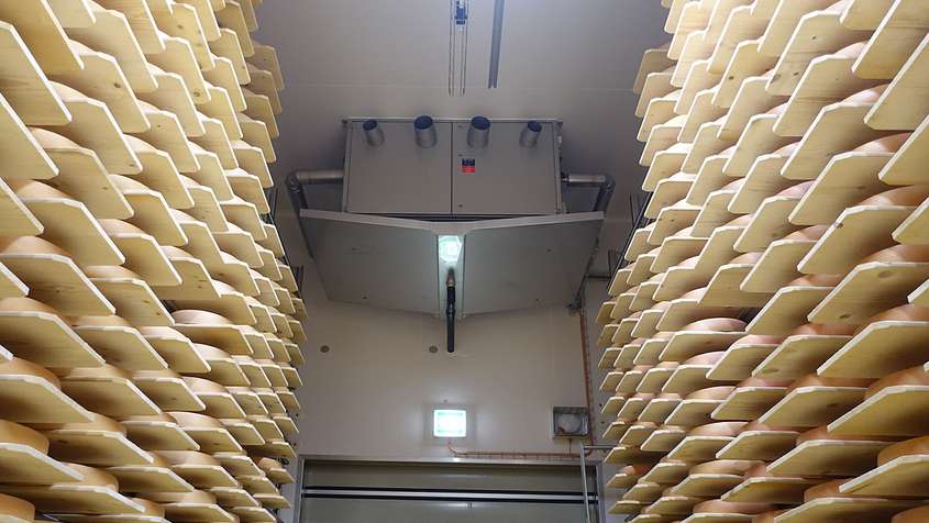 Stapel von Käselaiben vor einer Wand, an der ein ESJET-Gerät montiert ist, das die Luft indirekt befeuchtet